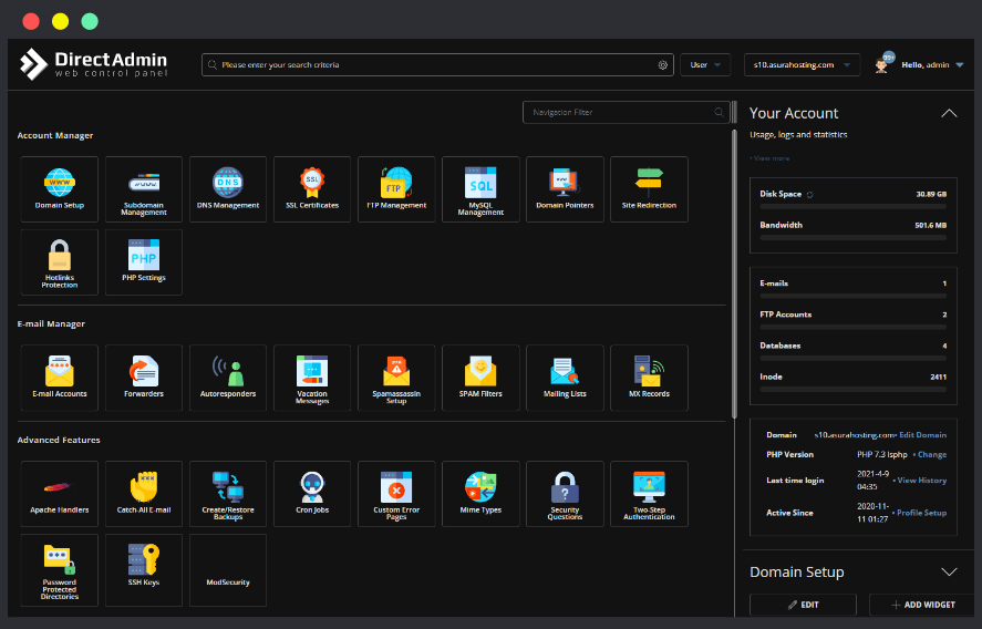 DirectAdmin Control Panel Interface